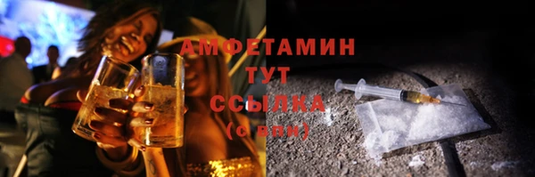 индика Михайловка