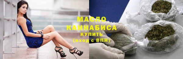 индика Михайловка