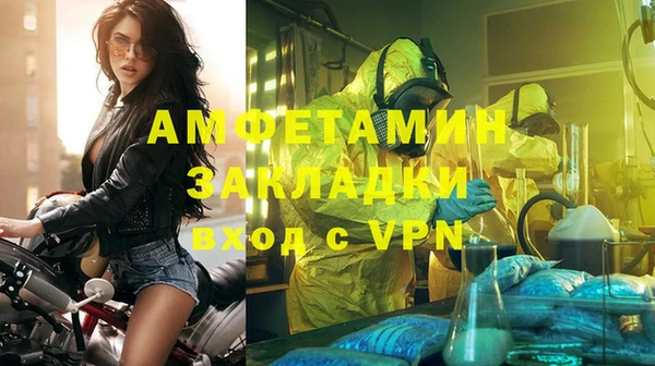индика Михайловка