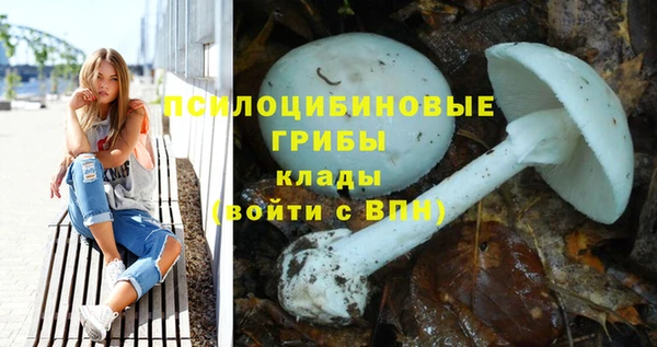 первитин Михайлов