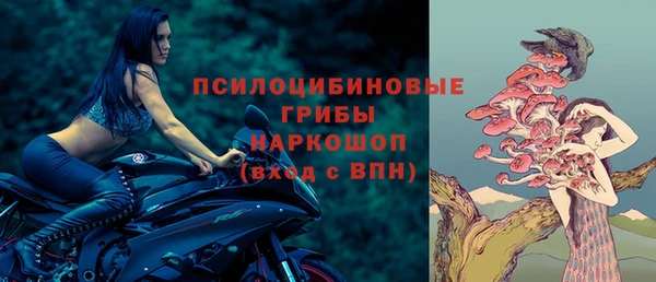 первитин Михайлов