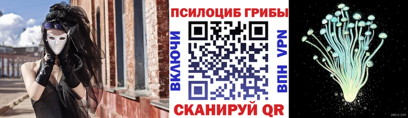 Галлюциногенные грибы мицелий Южно-Сухокумск
