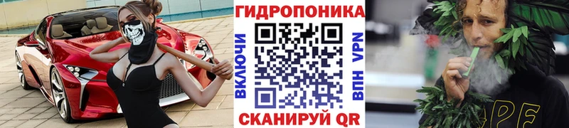 mega как зайти  даркнет сайт  Южно-Сухокумск  Канабис THC 21% 